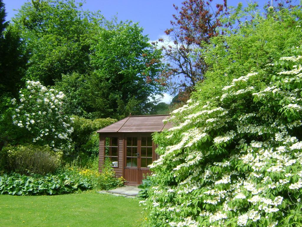 The Forest Country House B&B Newtown  Bagian luar foto