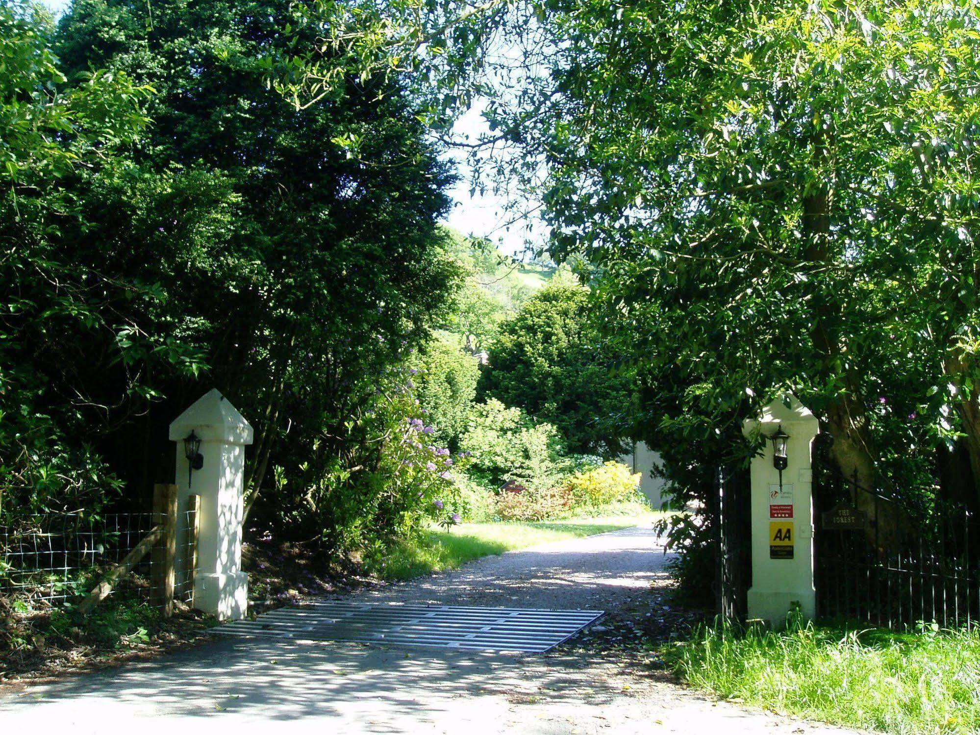 The Forest Country House B&B Newtown  Bagian luar foto