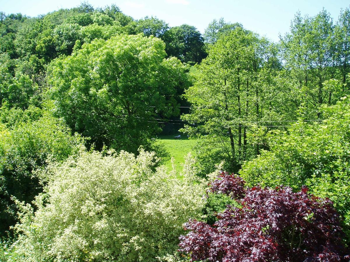 The Forest Country House B&B Newtown  Bagian luar foto